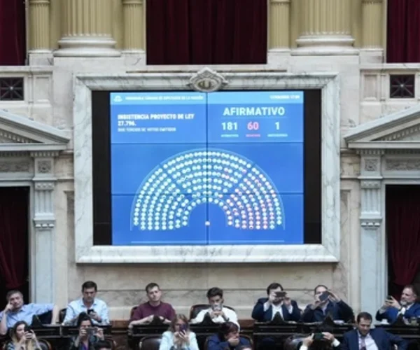 Diputados rechazó los vetos al financiamiento del Garrahan y universidades