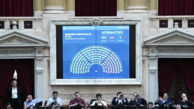 Diputados rechazó los vetos al financiamiento del Garrahan y universidades
