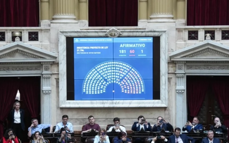 Diputados rechazó los vetos al financiamiento del Garrahan y universidades