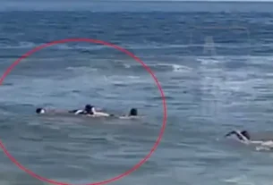 Dramático rescate de la familia de Martín Demichelis